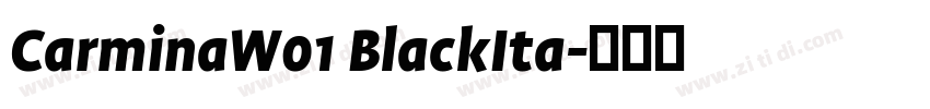 CarminaW01 BlackIta字体转换